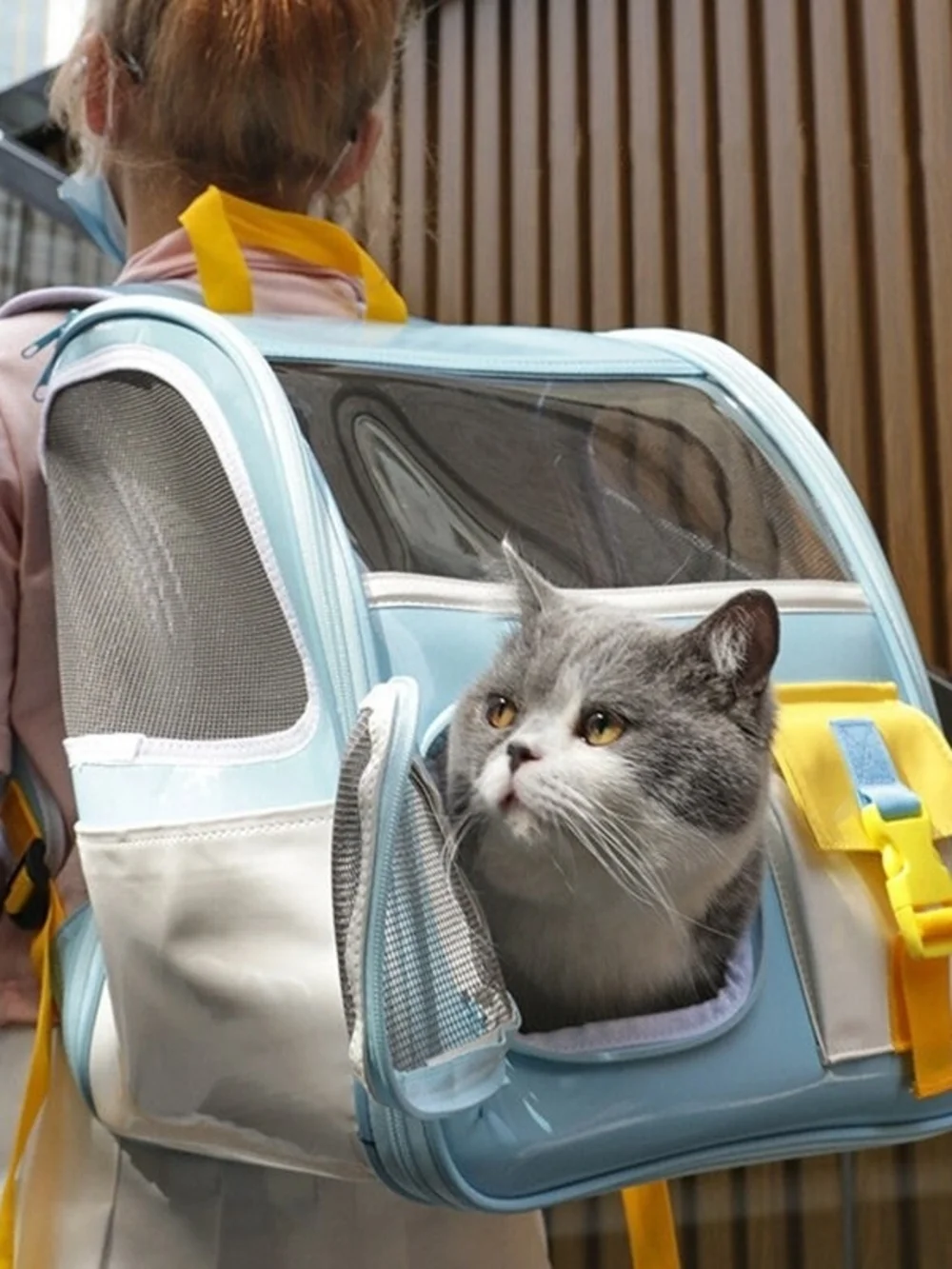 Light Blue Cat Carrier Backpack with Yellow Accents and Clear Window